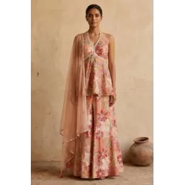 Beige Georgette Designer Gown