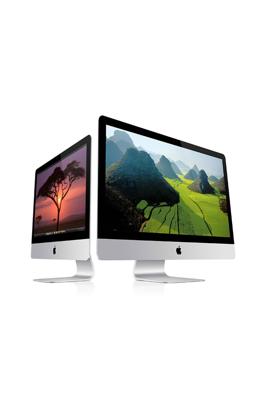 Ferloin tempor minim