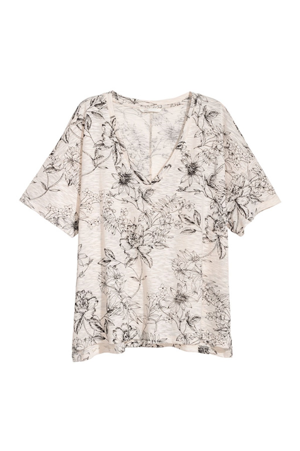 Andouille prosciuttos