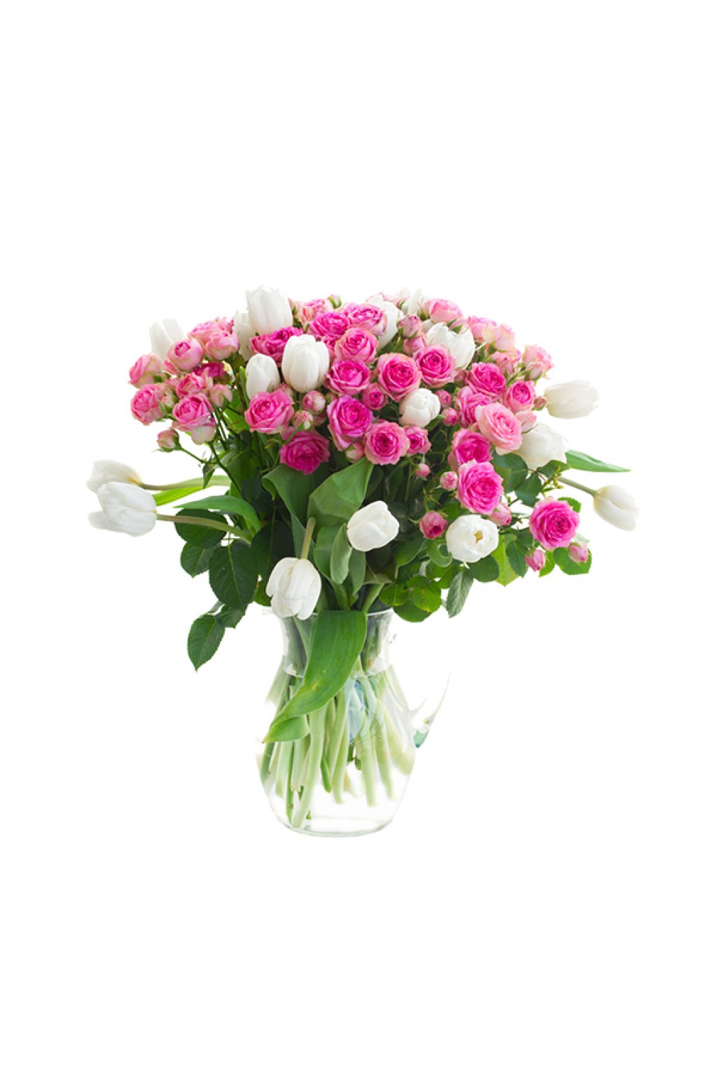 Phislic shoulder shan