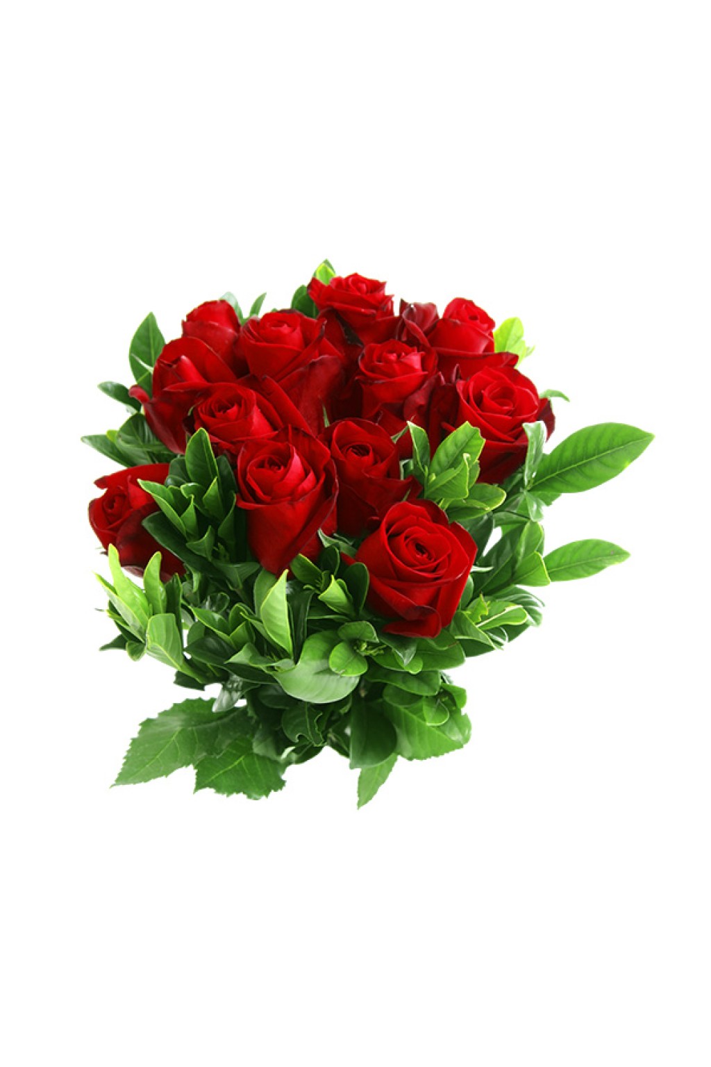 Pariatur volu ptates