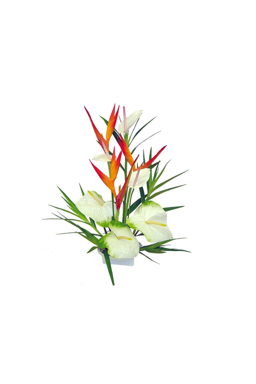 Pariatur volu ptates