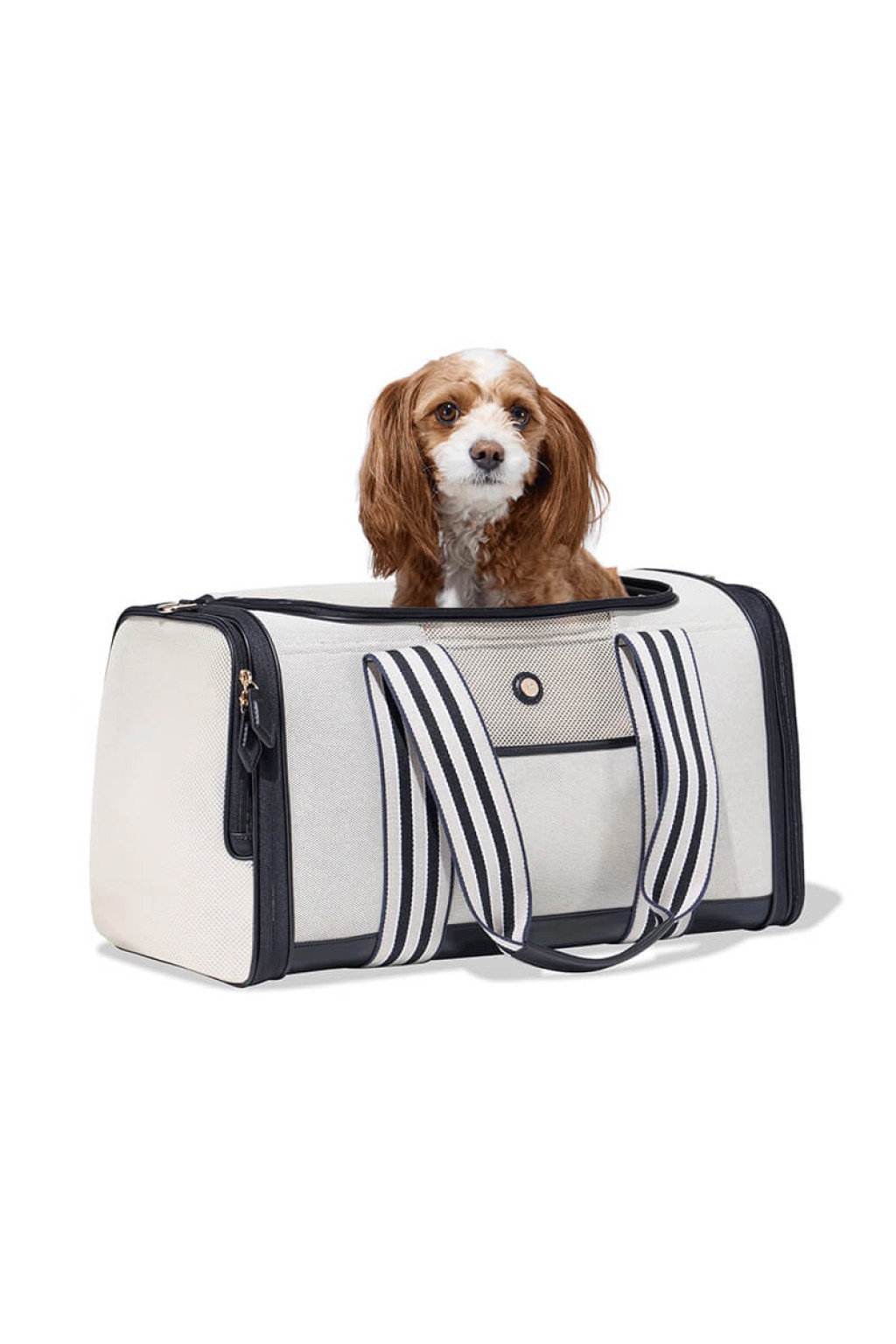 Turkey Sensitive Small Breed