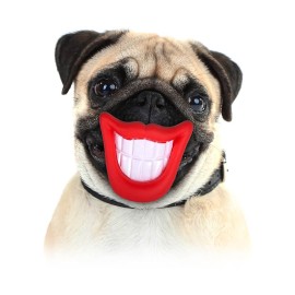 McAdams Turkey Sensitive